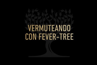 Diseño web Fever Tree